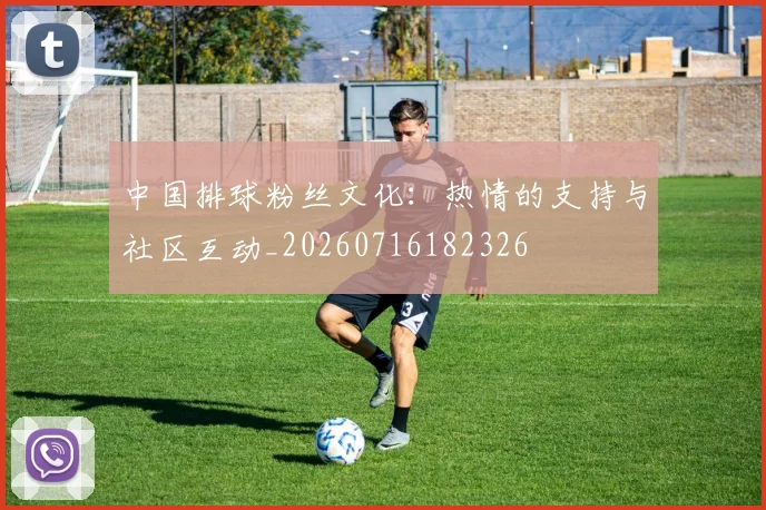 中国排球粉丝文化：热情的支持与社区互动_20260716182326