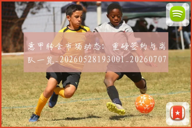 意甲转会市场动态:重磅签约与离队一览_20260528193001_20260707013008